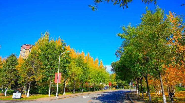 beat365亚洲体育官方网站2020届毕业纪念视频——你好，未来