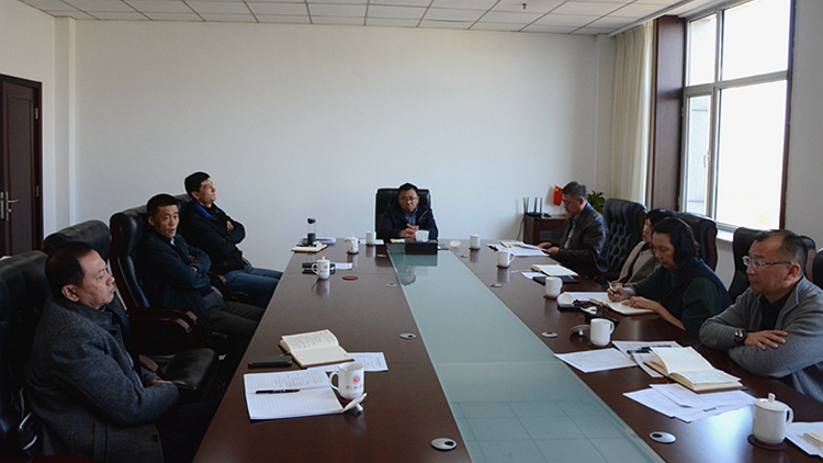 党委理论学习中心组专题学习党的十九届五中全会精神