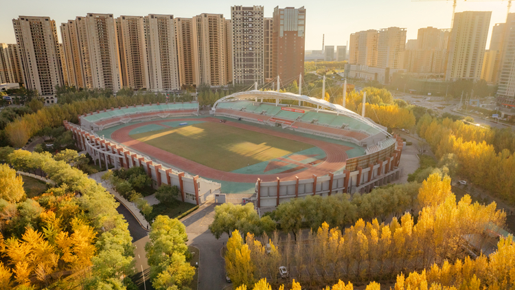 一封秋日来信——beat365秋景